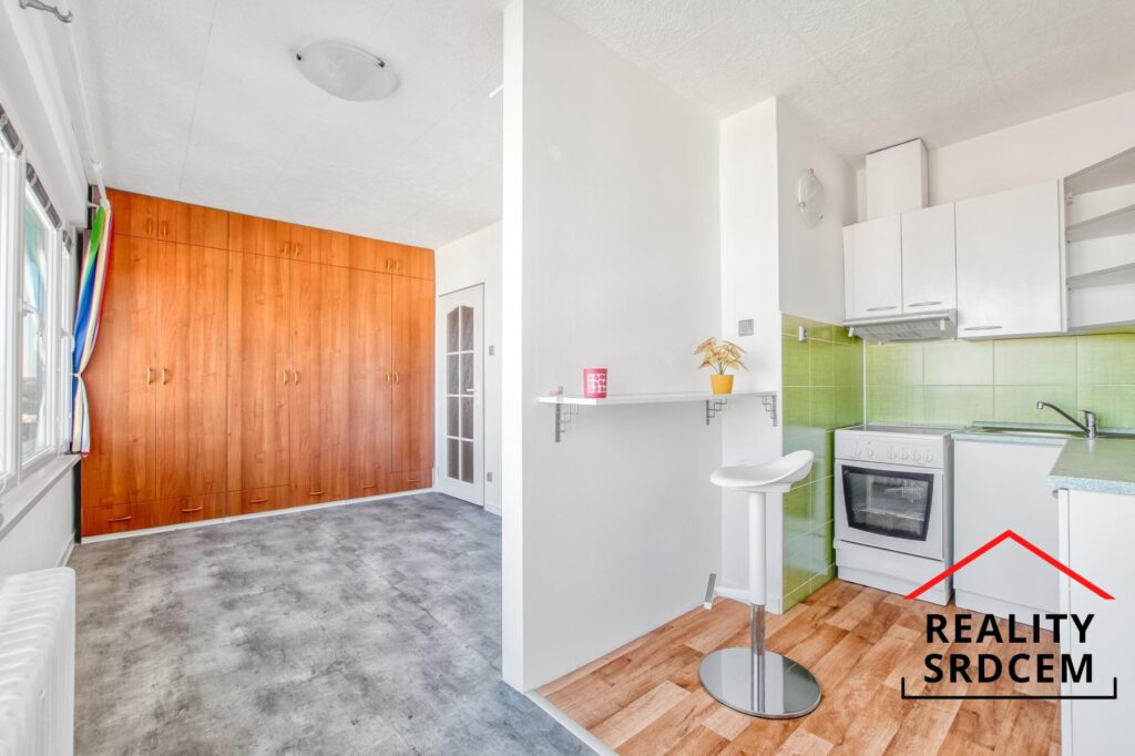 Pronájem bytu 1+kk, 24 m2, ul. Janáčkova, Frýdek-Místek